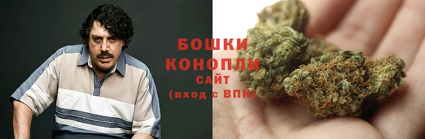 трава Снежногорск