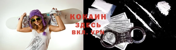 дурь Вяземский